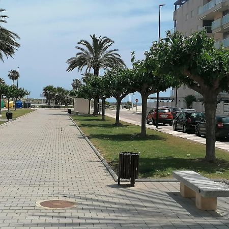 Estudio Con Patio En Daimus Ninos Y Mascotas Consultar Playa de Gandia Exteriér fotografie